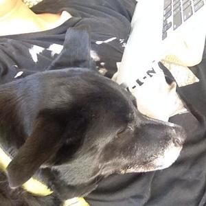 Meet your Posher, Noelle